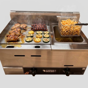 Combiné Plancha Friteuse à gaz 2 brûleurs